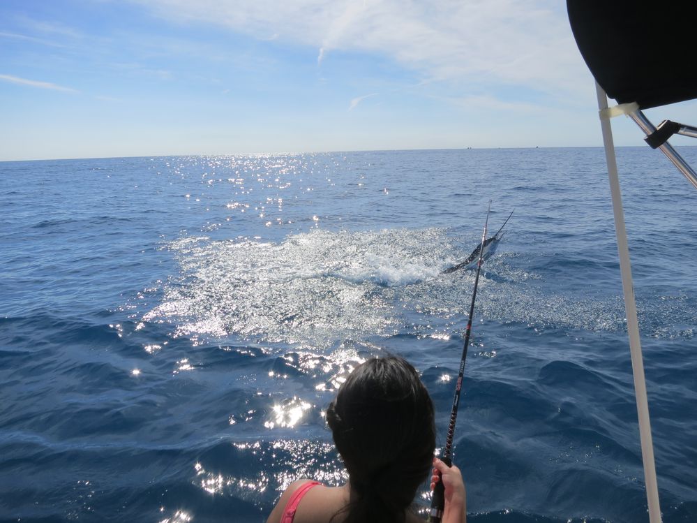 A sailfish leaping out of the water while @kwiksatik holds the reel.