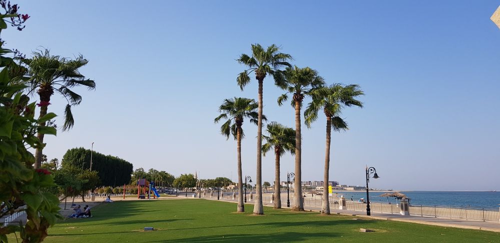 Caption: A photo of a green lawn with palm trees, a promenade, and a beach in Al Khobar, Saudi Arabia. (Local Guide @fasi6083)
