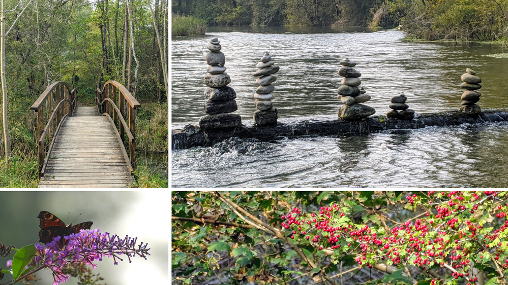 Caption: A collage of four photos showing a wooden bridge, rock balancing in the water, a butterfly on a flower, and a plant with small red fruits at Fontane Bianche, Italy. (Local Guide @ermest)