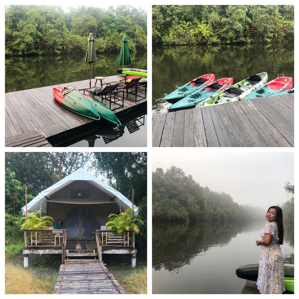 Early misty on the stream, and how relaxing it can be! Cardamom tented camp, Koh Kong