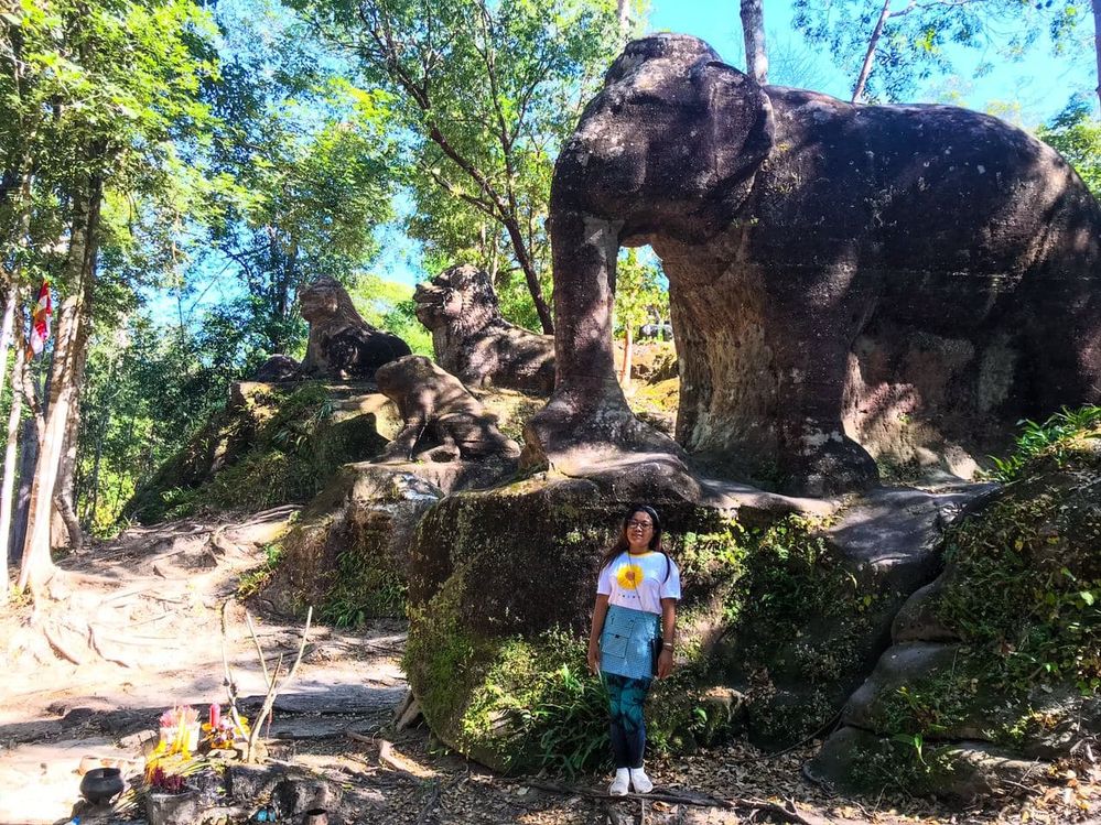 Local Guides Connect - The giant elephant on Kulen mountain - Local Guides