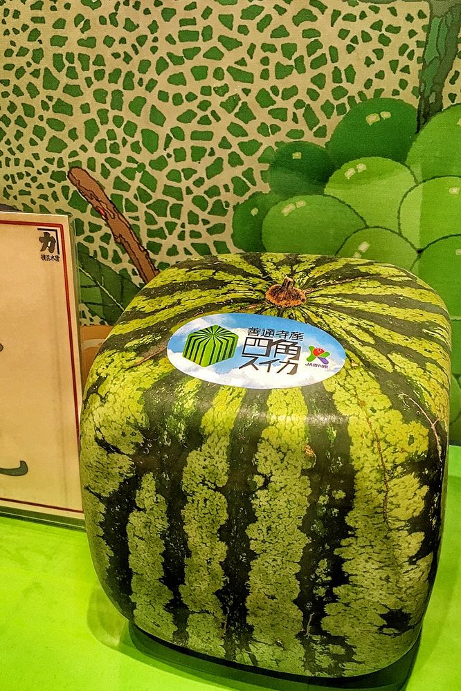 Caption $500.00USD watermelon
