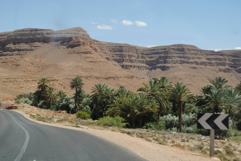 Caption: A photo of a road with palm trees on the side and a rocky mountain. (Local Guide @BorrisS)