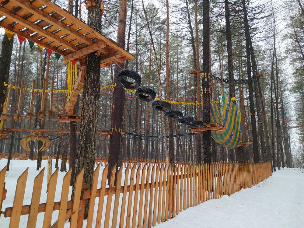 Caption:  Wooden fence row at Gammy adventure park. Above are ropes, tires, safety-net and platform suspended from the tree trunks.