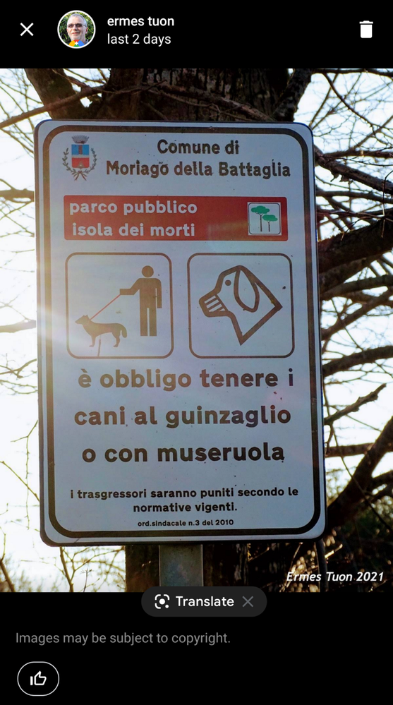 Caption: a sign at the entrance to a park, in Italian. Below you can see the Google Lens symbol with the indication "translate"