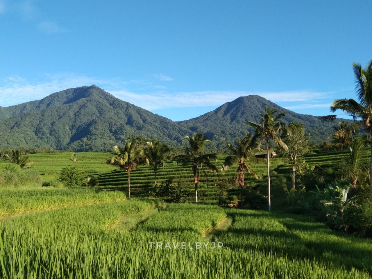 Local Guides Connect - My 2 Favorite Green Places in Bali, Indonesia ...