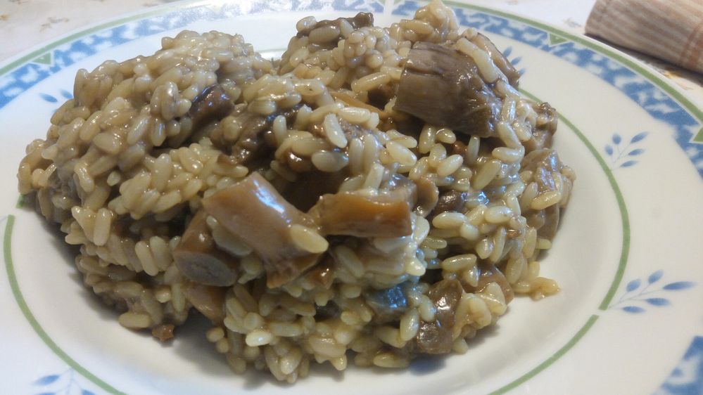 Caption: Risotto with mushrooms - Local Guide @ermest