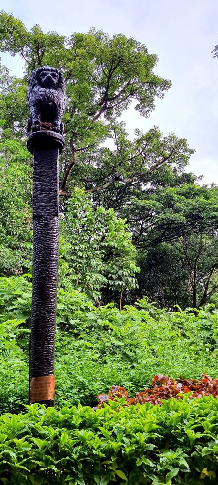 Ashoka Pillar - of course carved out of a tree!
