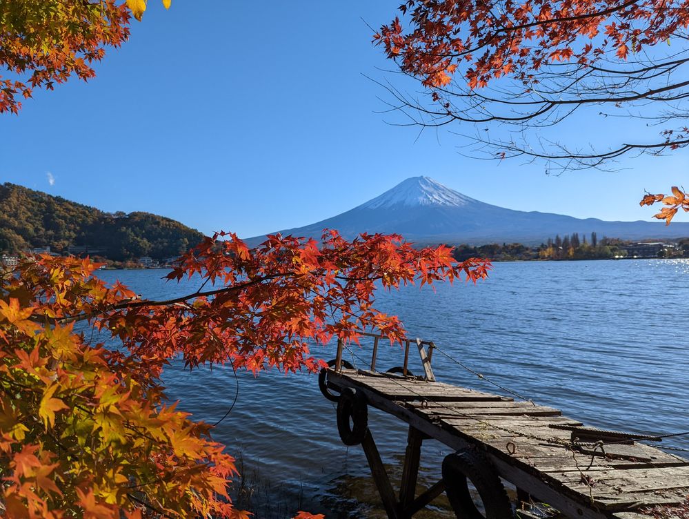 Caption: A photo of Mount Fuji, Lake Kawaguchi, and red maple leaves that Kevin took on his birthday trip in Japan.