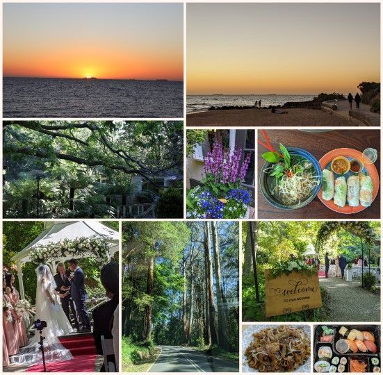 November sunsets, wedding, soaring trees in the Dandenong Ranges, various cuisine, beef pho and rice paper rolls - photos by LG Maria Ngo