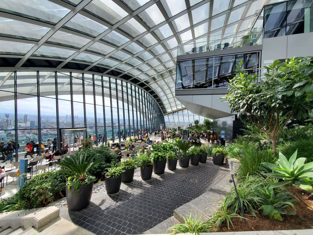 Caption: A photo of big plants in pots and people sitting around tables, enjoying a view of London from the Sky Garden. (Local Guide Thomas)