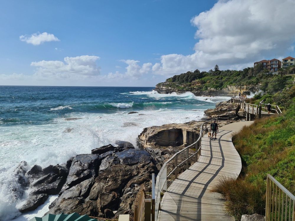 Caption: A photo of the Bondi to Bronte Coastal Walk running between a gentle slope and the ocean. (Local Guide Greg Doven)