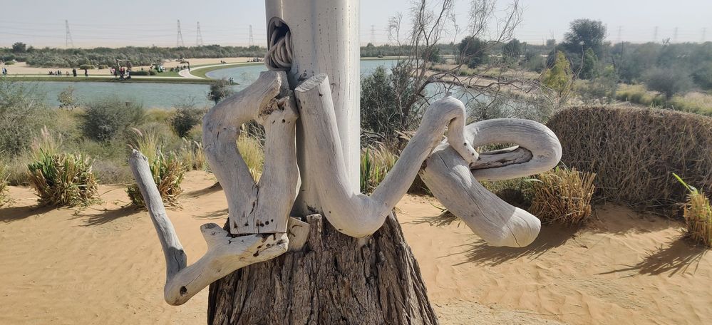 Caption: A photo of a wood sculpture that spells out ‘Love’ against the backdrop of the Heart Lake Dubai. (Local Guide Hari kumar)