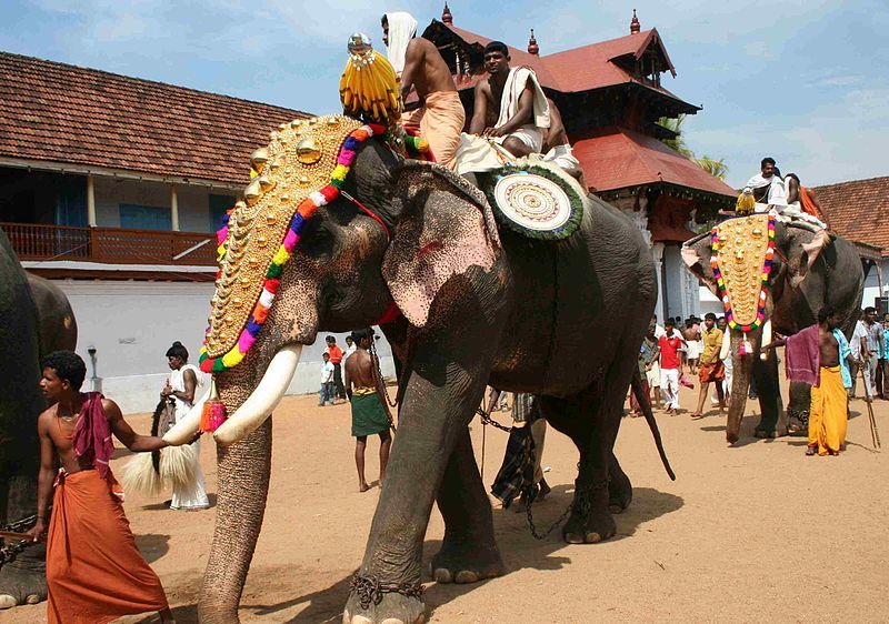 Elephants in Kerala culture