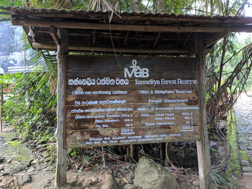 Kanneliya forest entrance