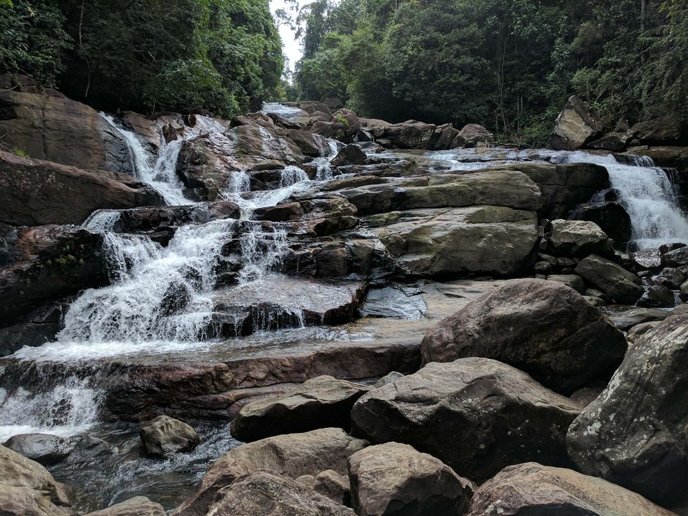Kanneliya forest waterfall