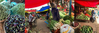 Caption: Mir Alam Mandi vegetable market