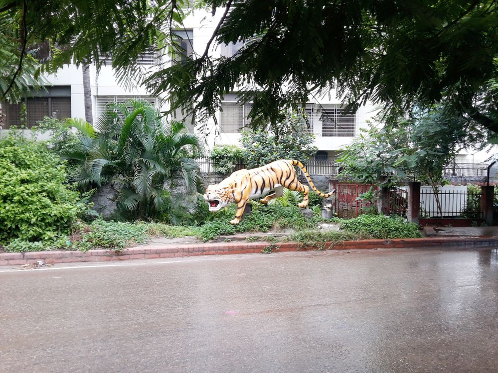 Sculpture of Tiger, Banani, Dhaka
