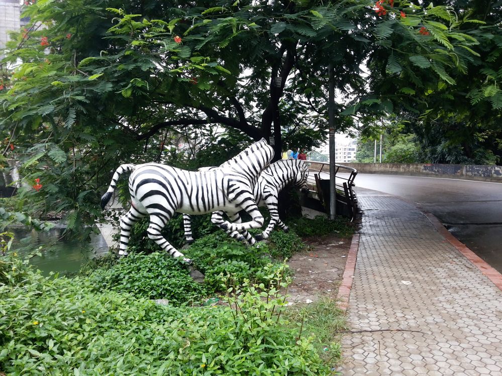 Sculptures of Zebra, Banani, Dhaka