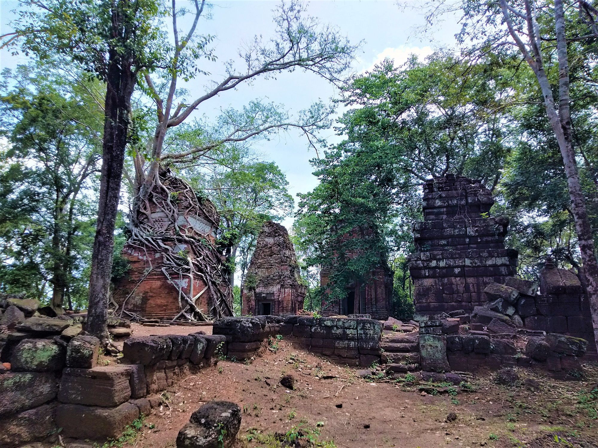Caption: A photo of the Prasat Pram Temple in Cambodia surrounded by giant trees. (Local Guide @Sophia_20)