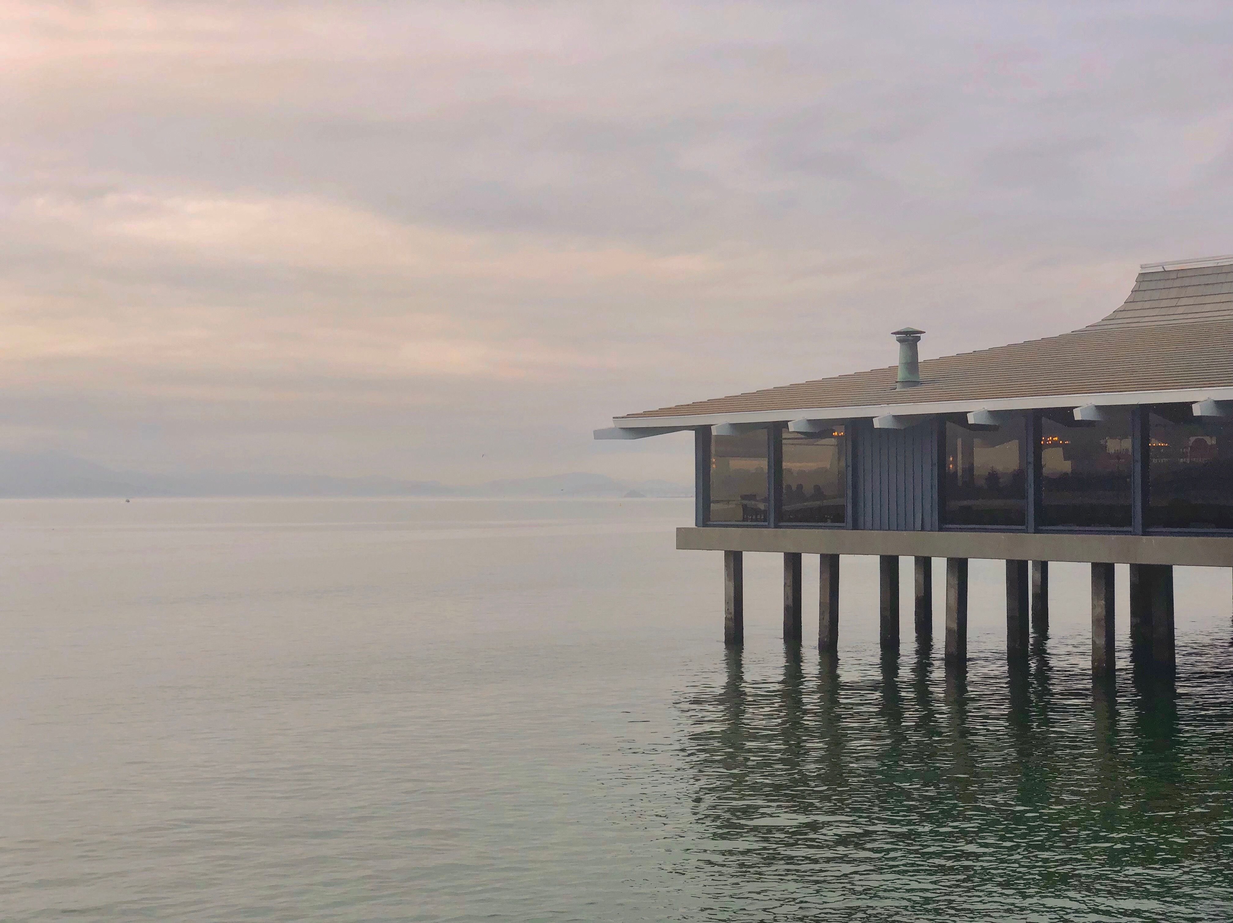 Skates on the Bay, Berkeley, California