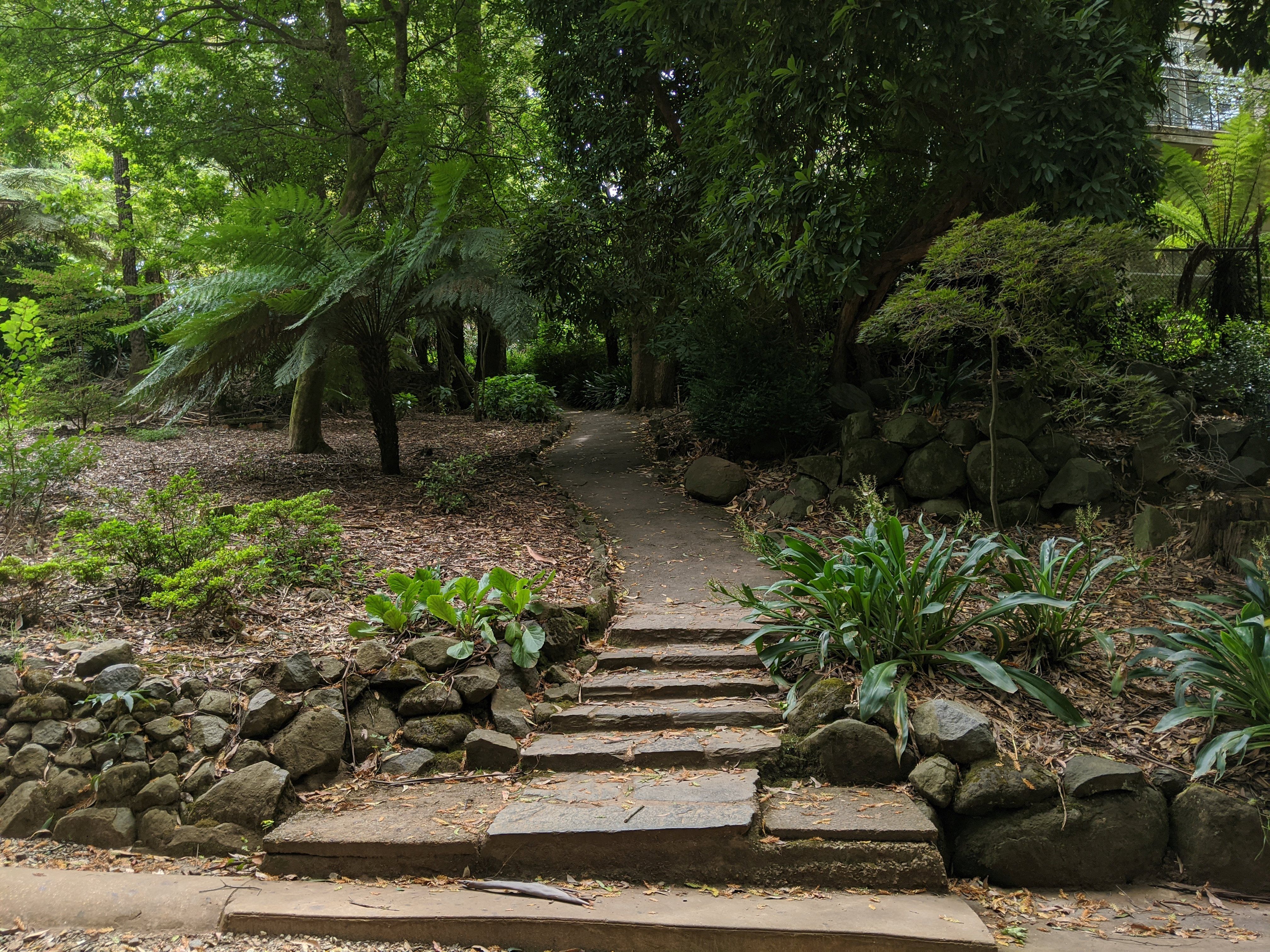 Caption: A pathway leading deeper in the garden
