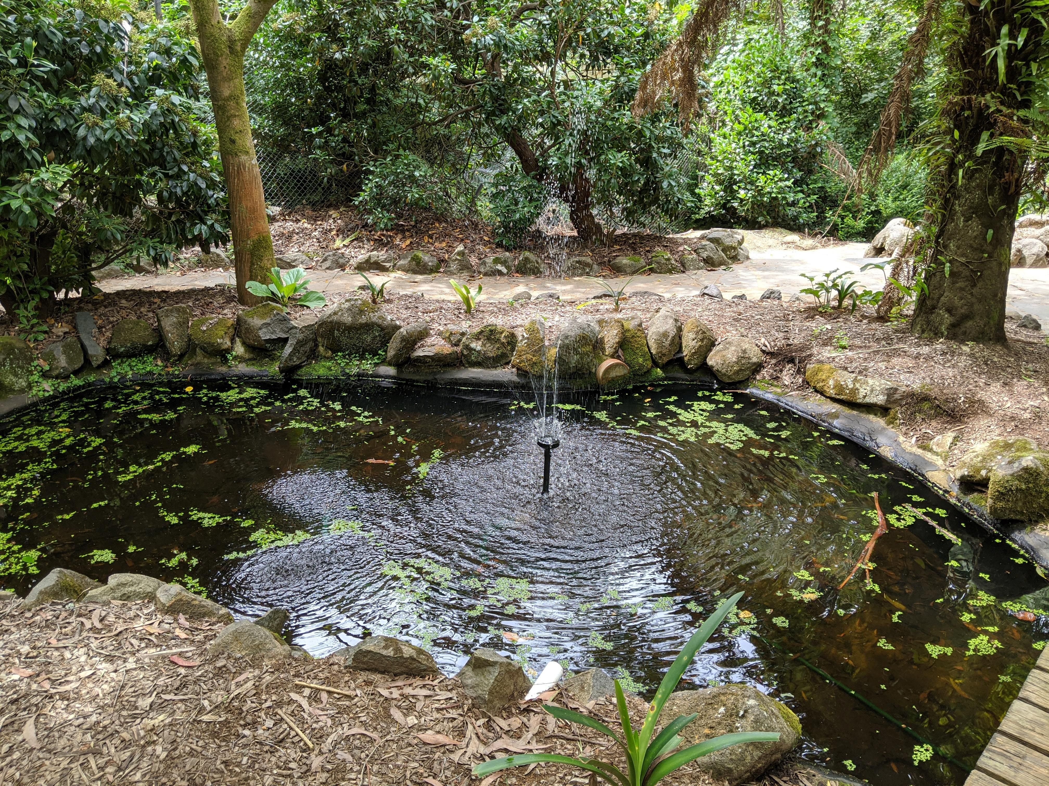 Caption: water pool with fountain