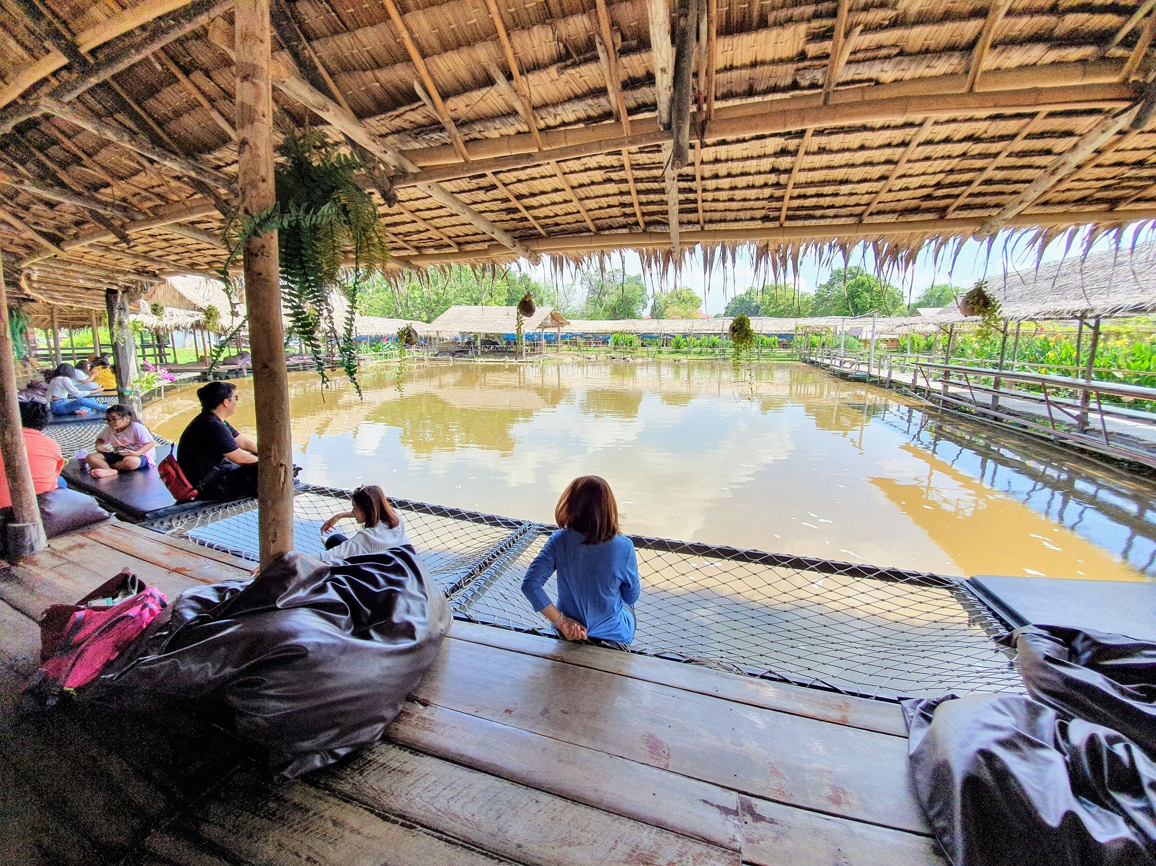 Visitors are enjoying their drinks and watching buffaloes soaking in the pond, Buffalo Village