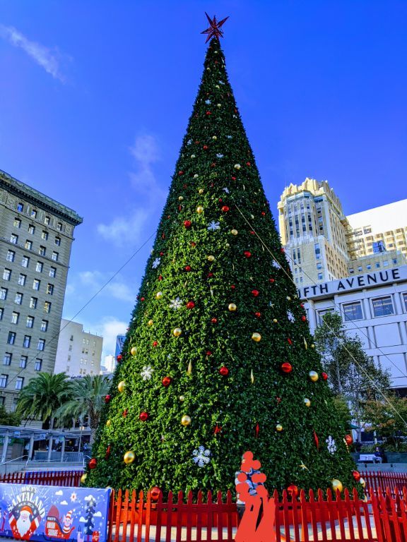 Christmas Tree at California