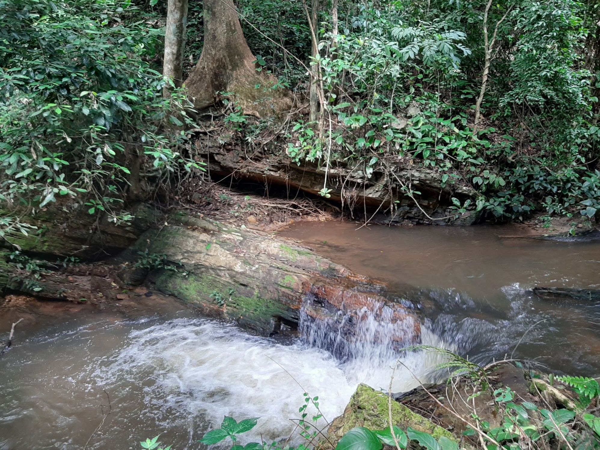 Caption: A view of the rushing flow of stream No 5  on the walk to the waterfalls. Shot by LG @shola4sure