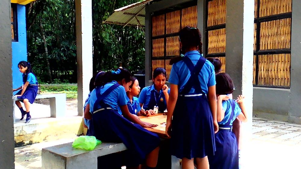 Girl students playing Carom