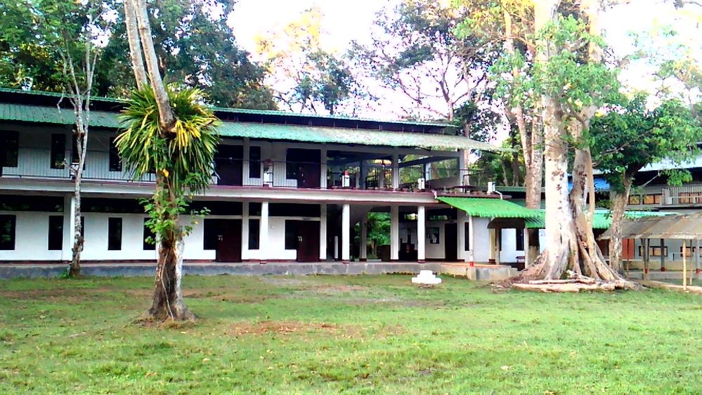 A part of the school structure, Main building