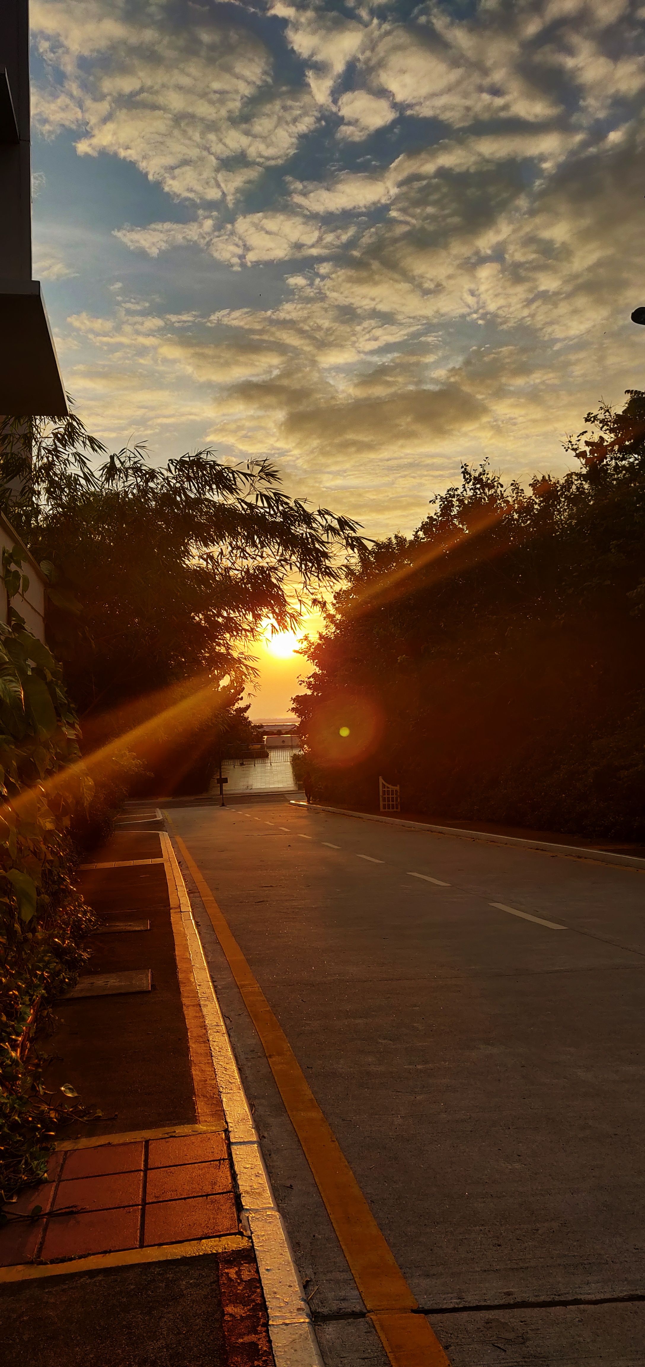 Sunset from Infosys mangalore sez campus