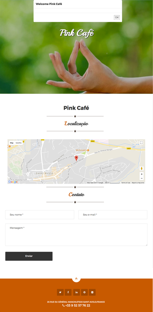 Here is the total screenshot of the whole page, click to see full-size. Note that the website of this is pinkcafe1.caferousseau.info. Substituting carerousseau.info with any of the other ones will also show the same page. Even substituting pinkcafe1 with pinkcafe2 will have the exact same page, except with different details (1 is from France, 2 is from Switzerland). And don't get me started with Cats!