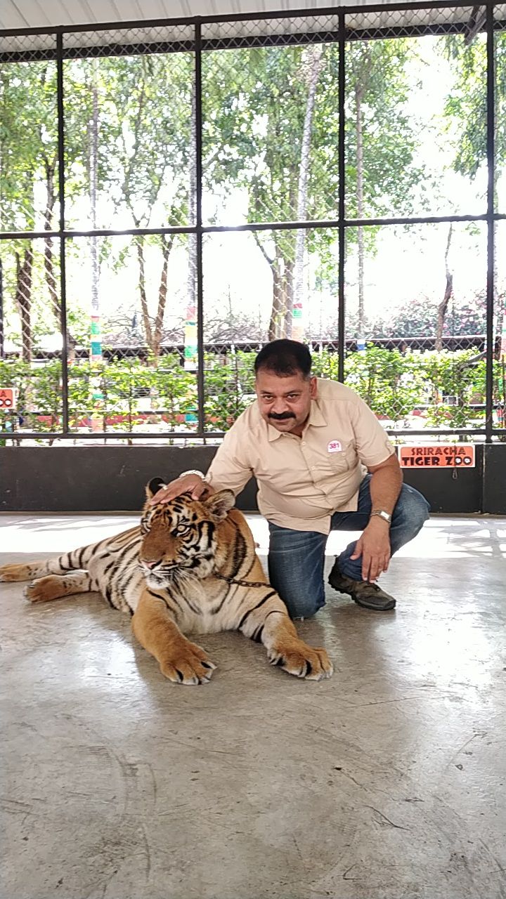 At sriracha tiger zoo Thailand