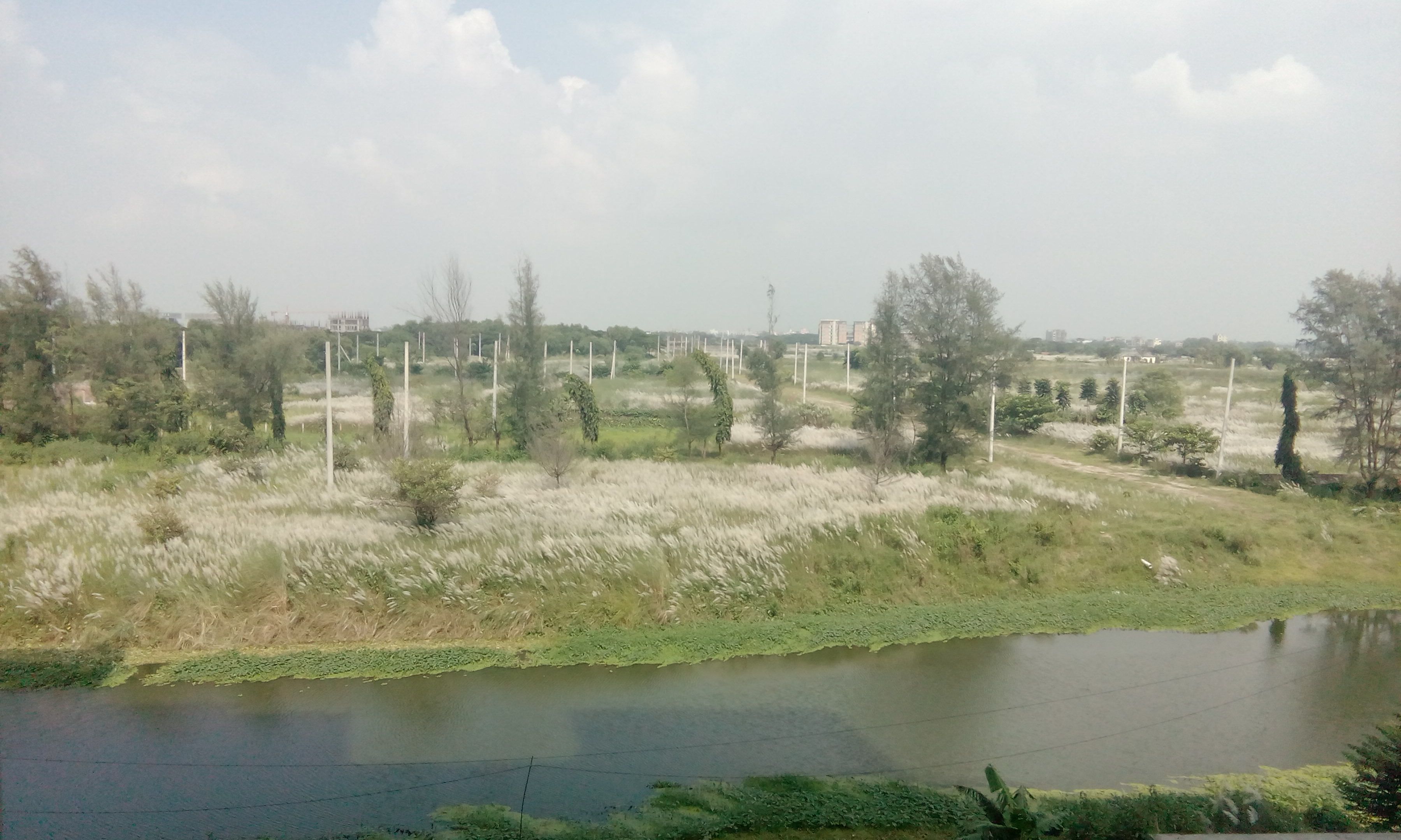 Kashful and the Canal
