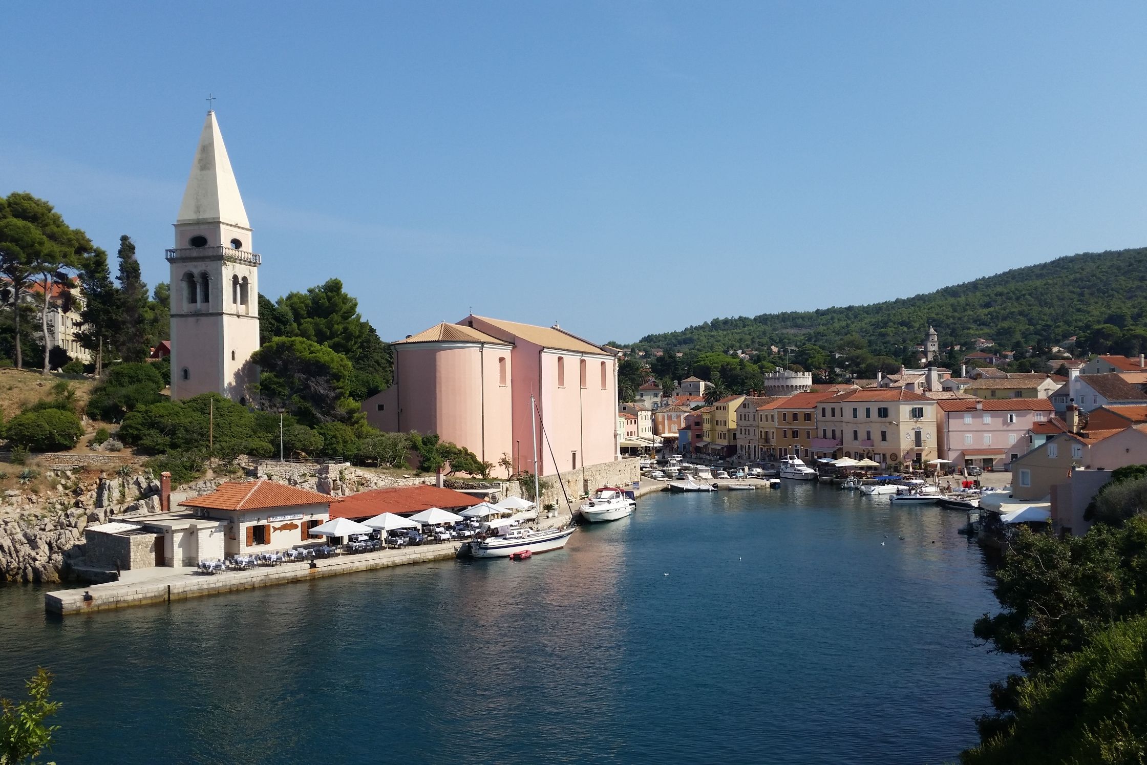 Veli Lošinj, the place where you can go to experience dolphin watching