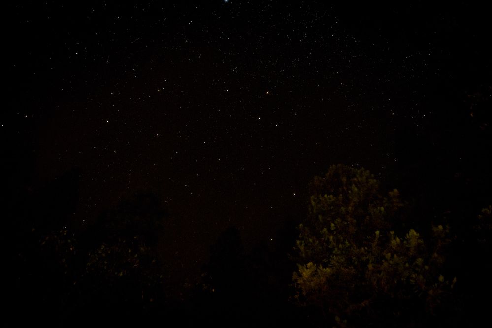 Starry night at Upper Pines