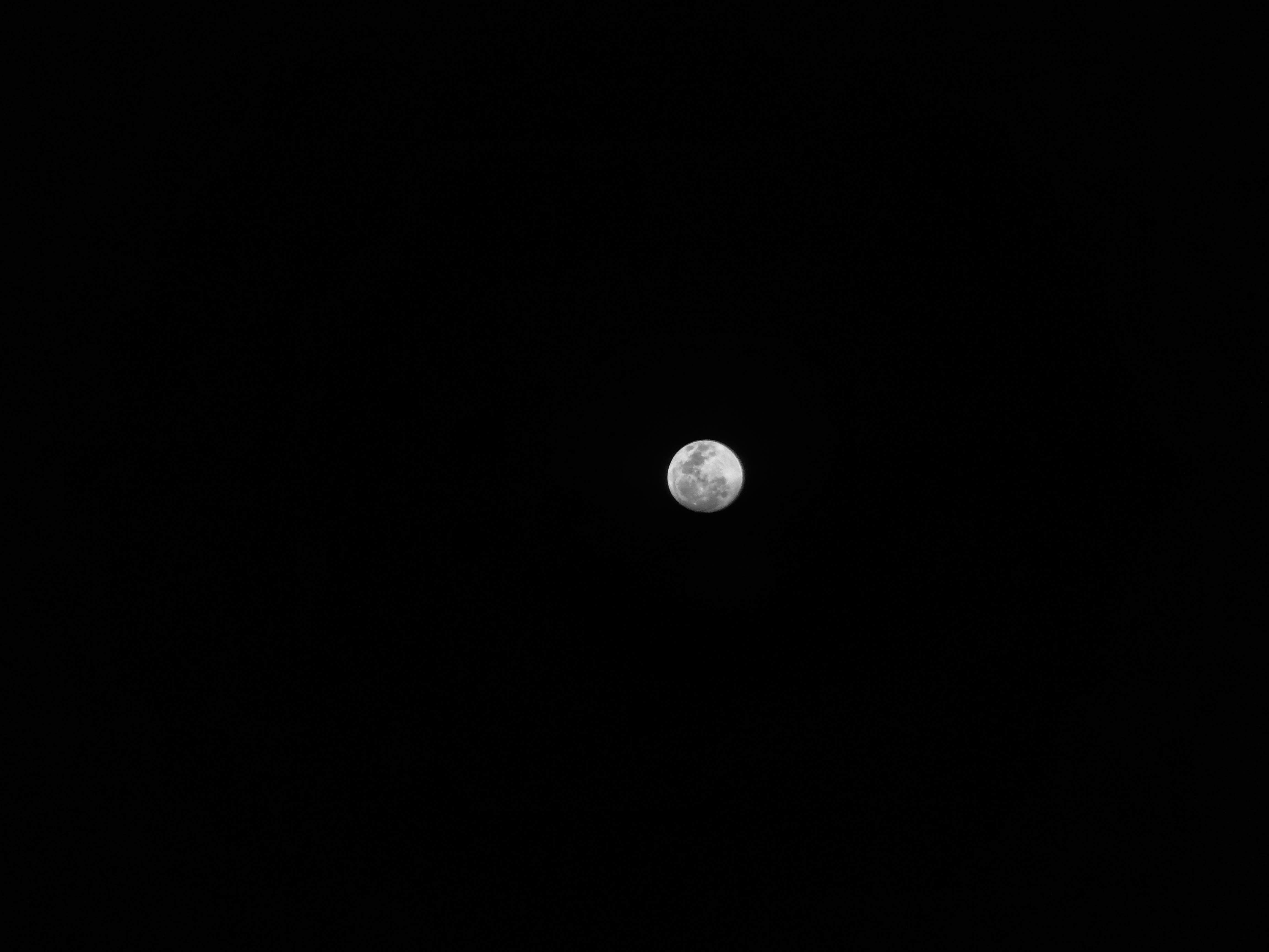 Moon Stare