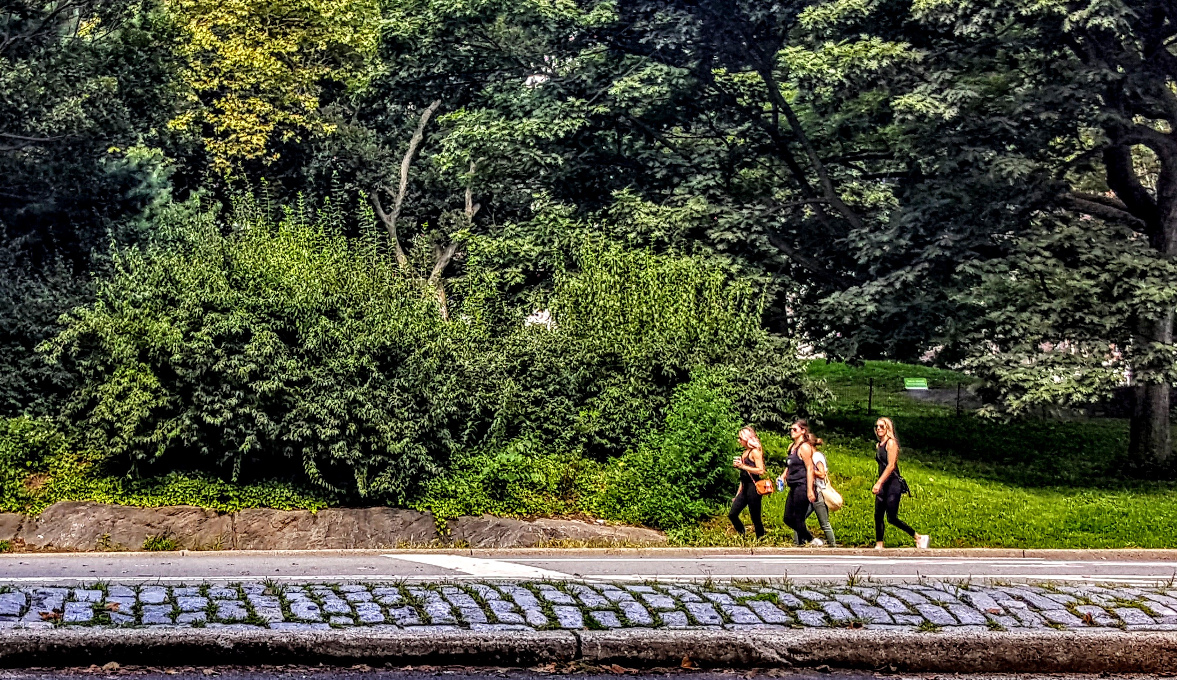 Matthew Albertell Photography Central Park Women Walking.jpg