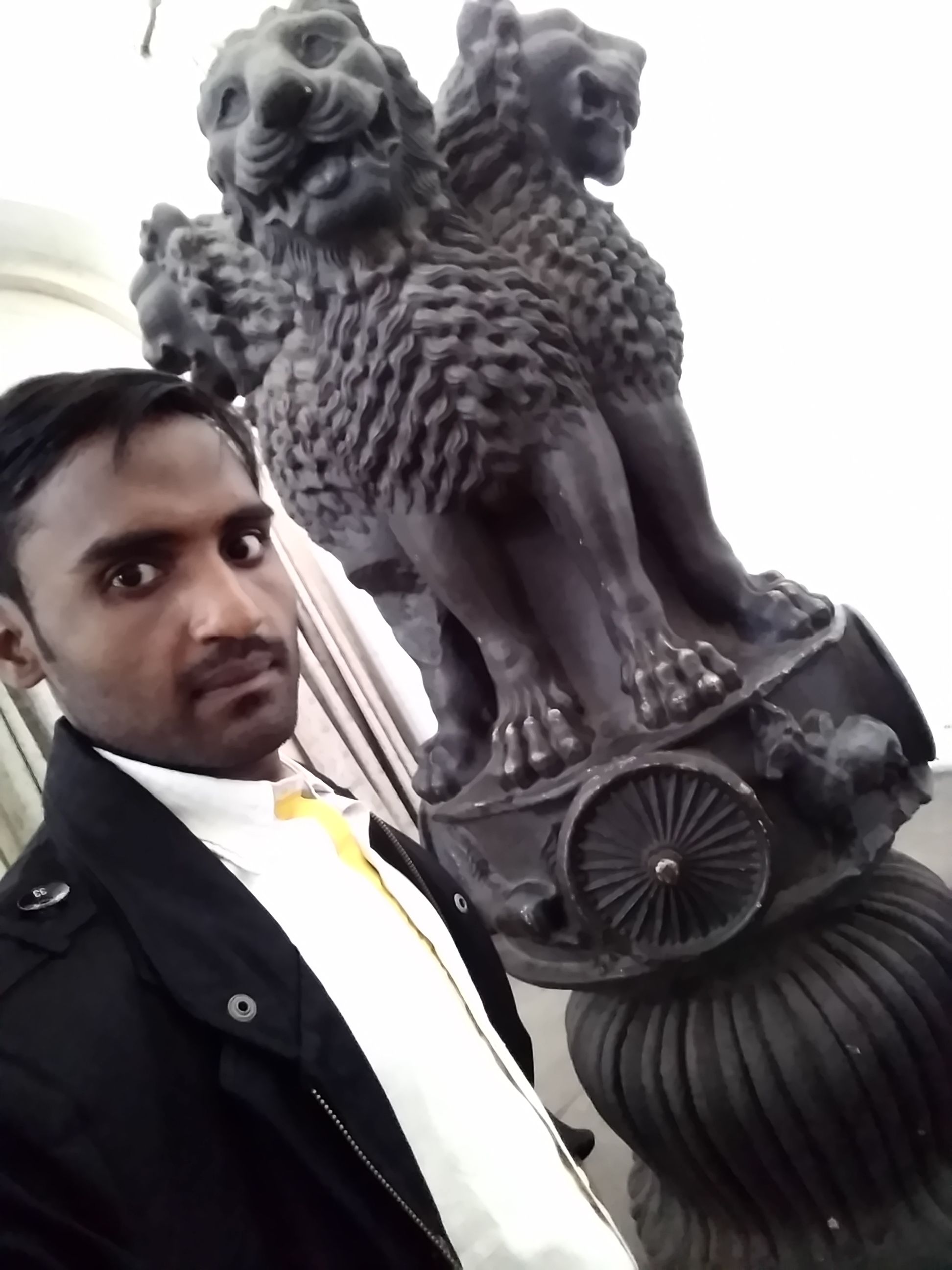 Ashok Stambh in Kolkata Indian museum