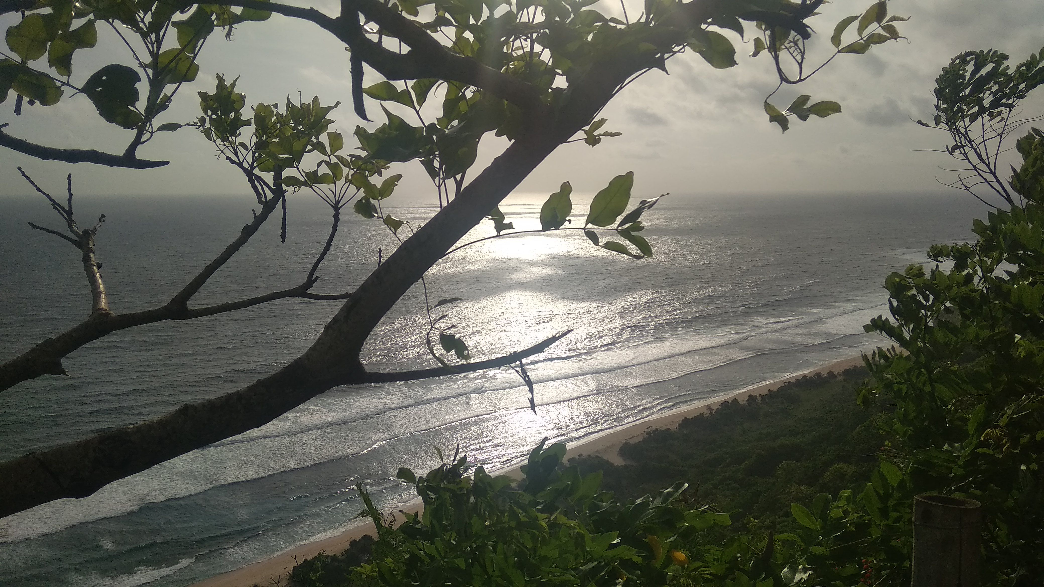 Caption: A photo of the Nyang-Nyang Beach and greenery taken from the top of the hill. (Local Guide dian_9395)