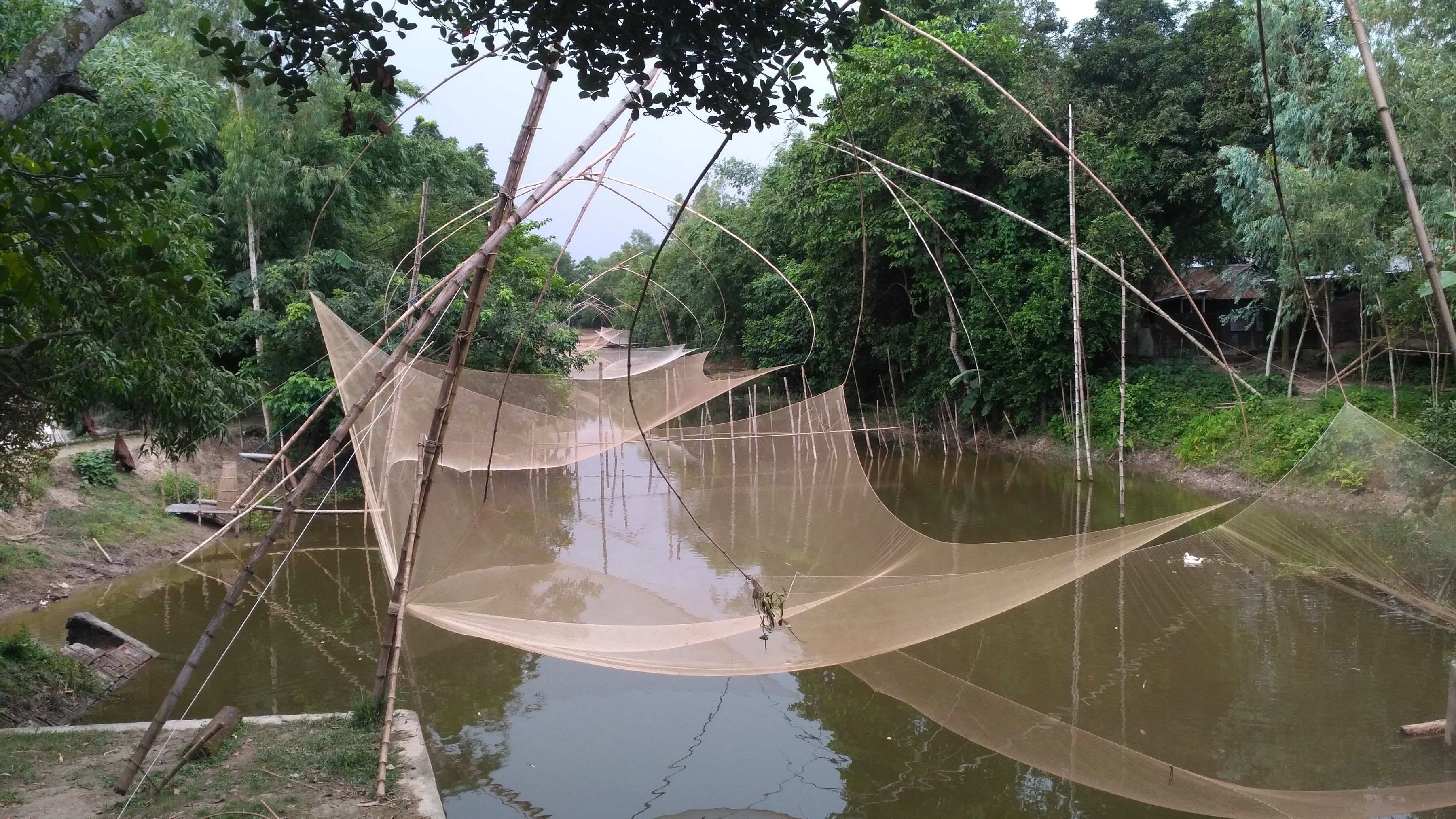 Caption: Fishing net