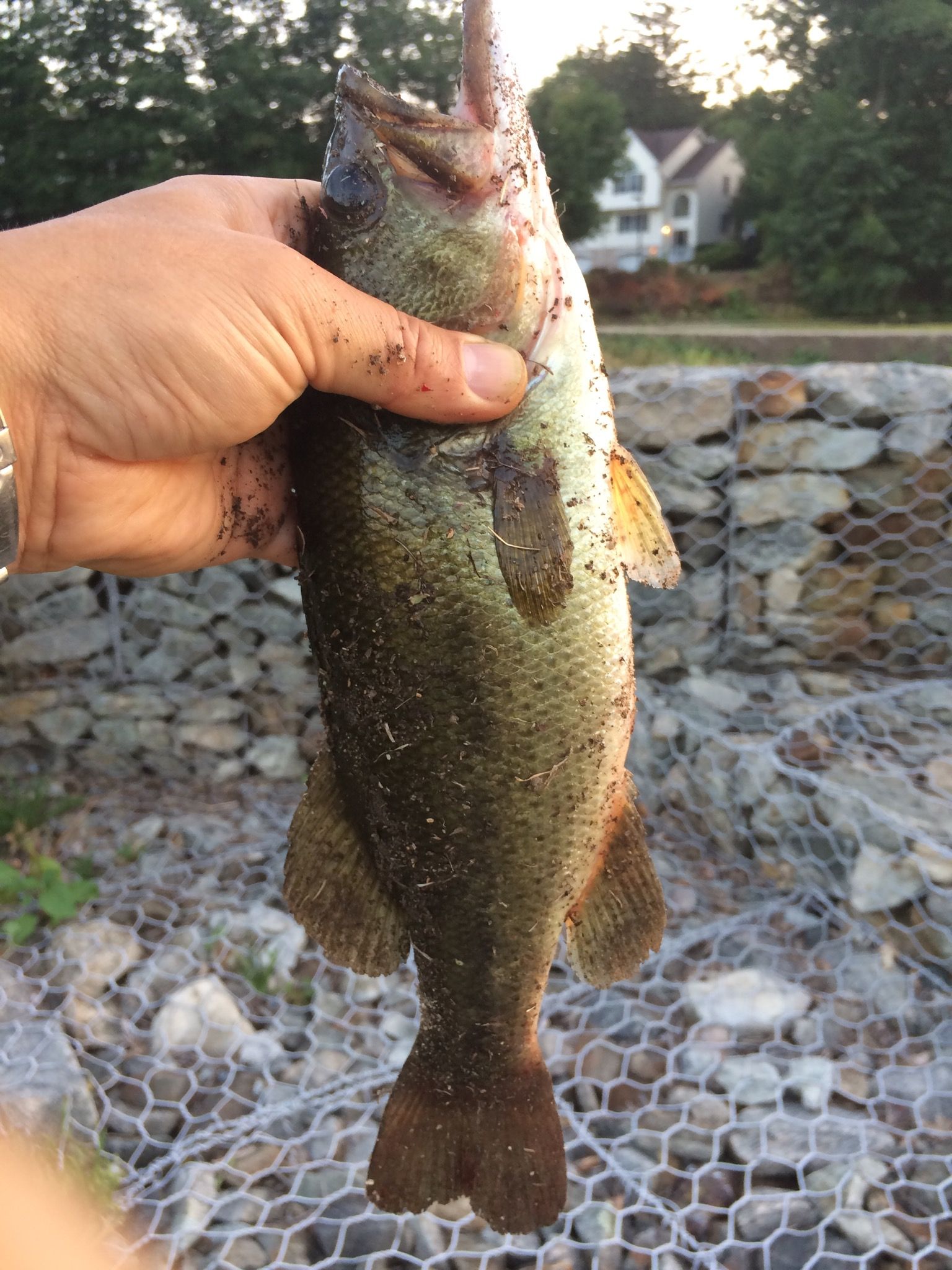 Local Guides Connect - Best Fishing places in Bergen County New Jersey -  Local Guides Connect