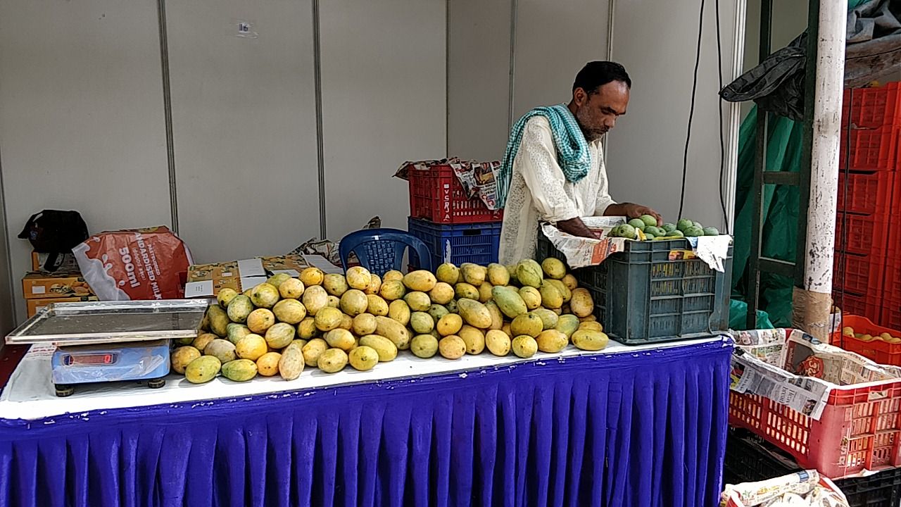 This farmer had 4 variety of Mangos