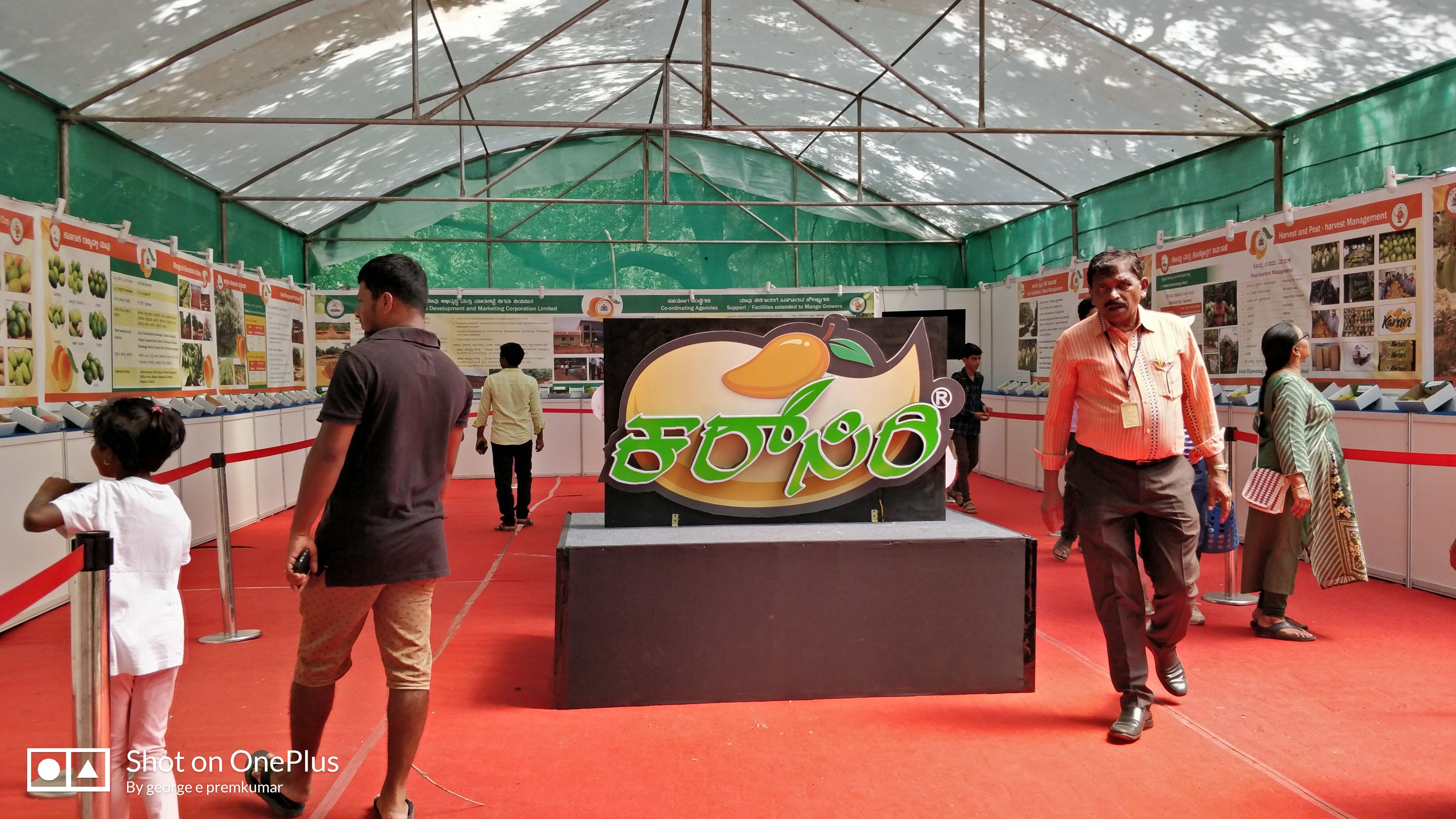 MANGO and Jackfruit Fair in Bengaluru India   from 30th May to 24th June. Initiative of the Government, the Farmers can sell their Products directly to end customers