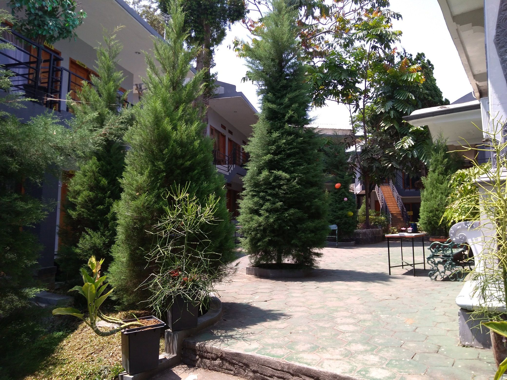 Clean front rooms and lots of trees. dok pribadi