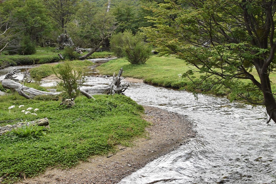 Caption: Las vueltas del río - Ushuaia (Local Guides @FaridMonti)