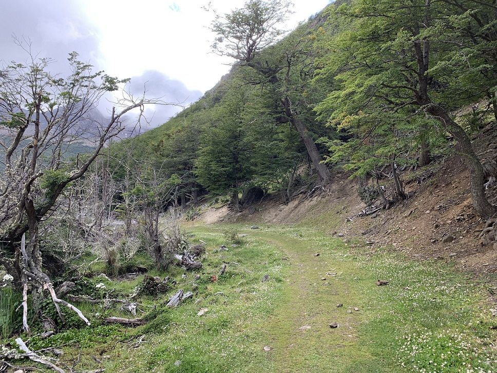 Caption: Sendero - Ushuaia (Local Guides @FaridMonti)