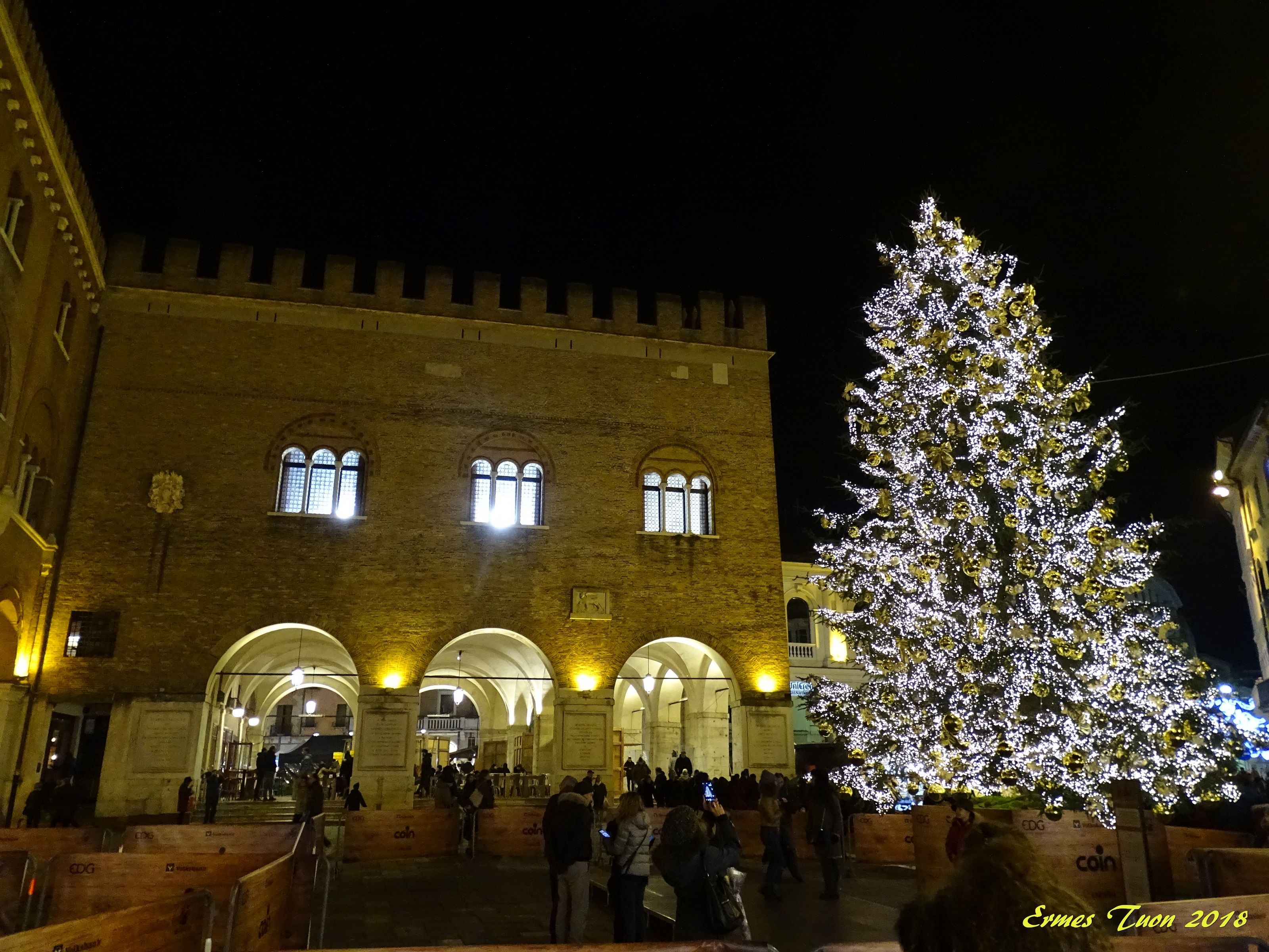 Caption: A Christmas Tree in Piazza dei Signori (Square of the Lords)  - Treviso
